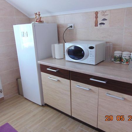 Vila Floarea De Colt Borşa Exterior foto