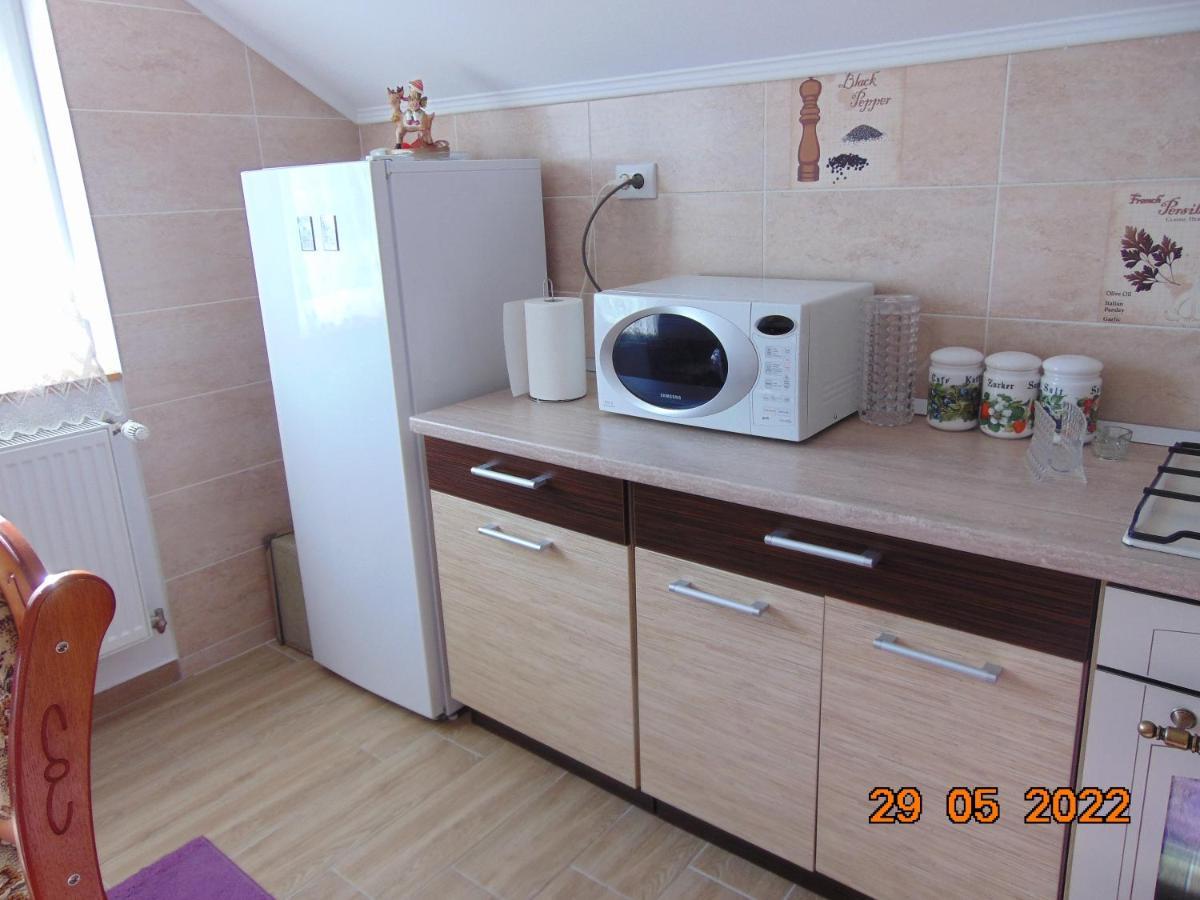Vila Floarea De Colt Borşa Exterior foto