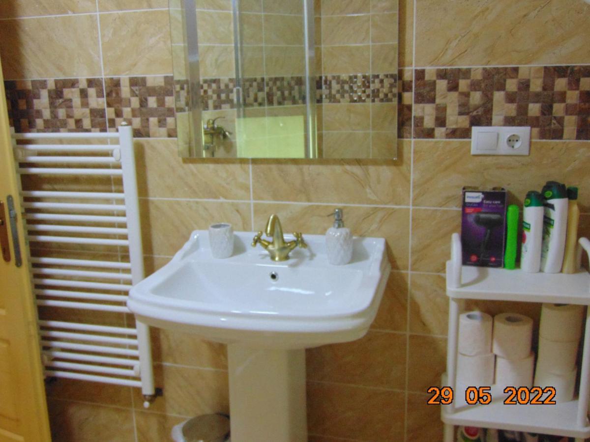 Vila Floarea De Colt Borşa Exterior foto